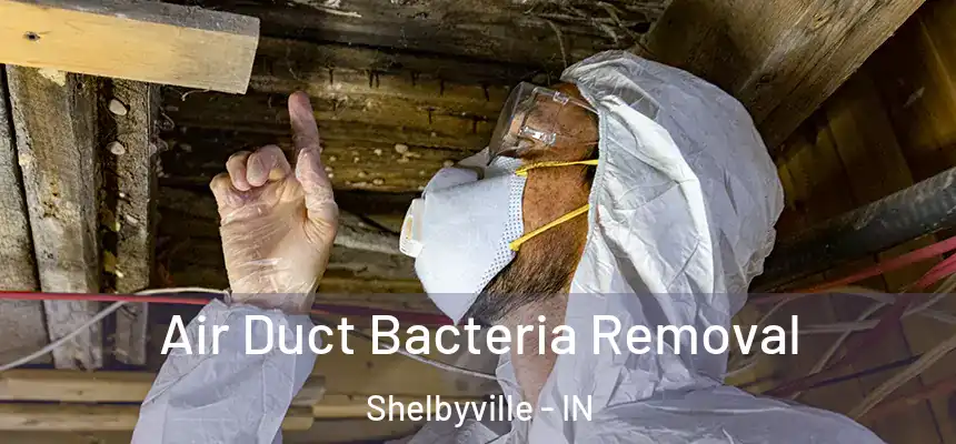 Air Duct Bacteria Removal Shelbyville - IN