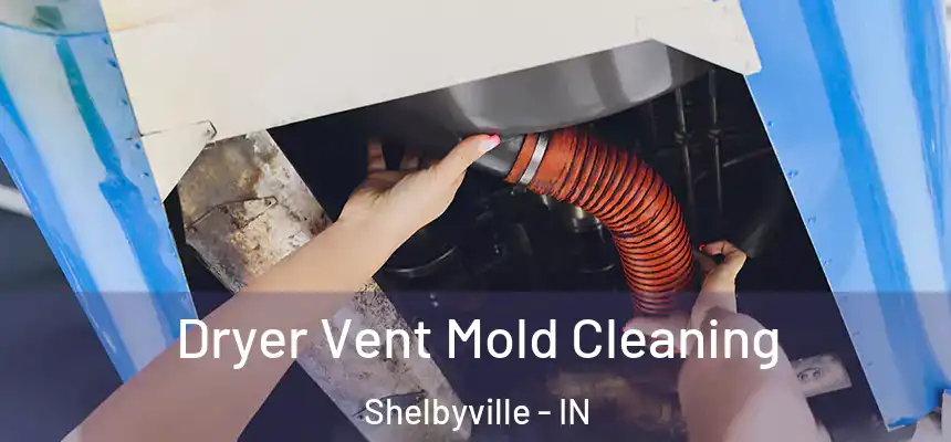 Dryer Vent Mold Cleaning Shelbyville - IN