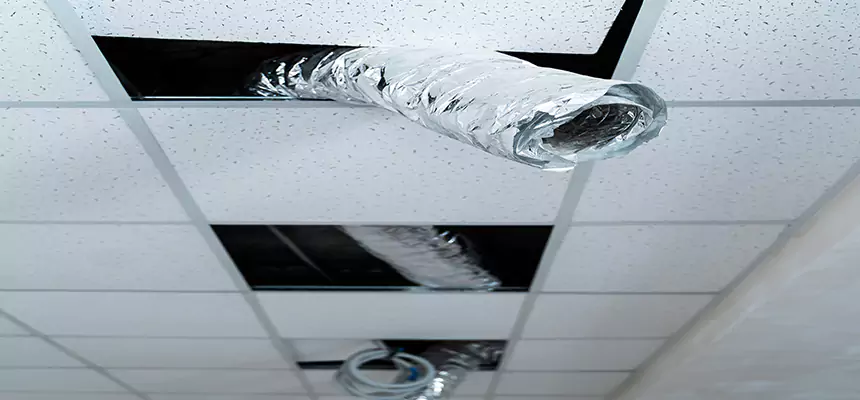 Our Air Duct Pet Hair Removal Services in Shelbyville, IN