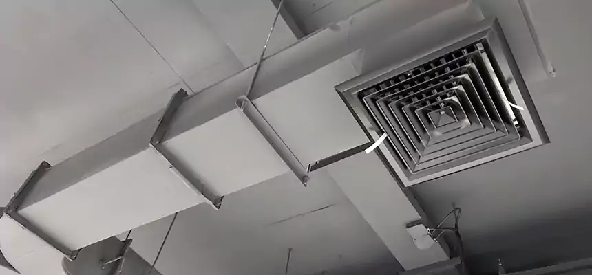 Restorative Allergy Relief Vent Cleaning – Coil, Blower & Housing Detail in Shelbyville