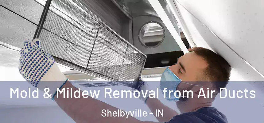  Mold & Mildew Removal from Air Ducts Shelbyville - IN