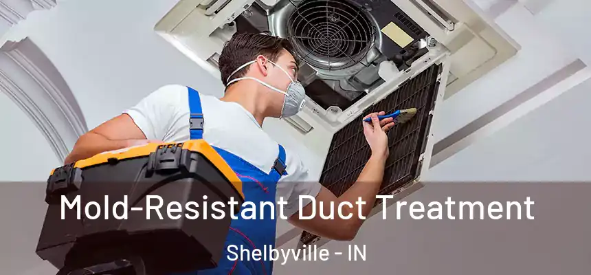 Mold-Resistant Duct Treatment Shelbyville - IN