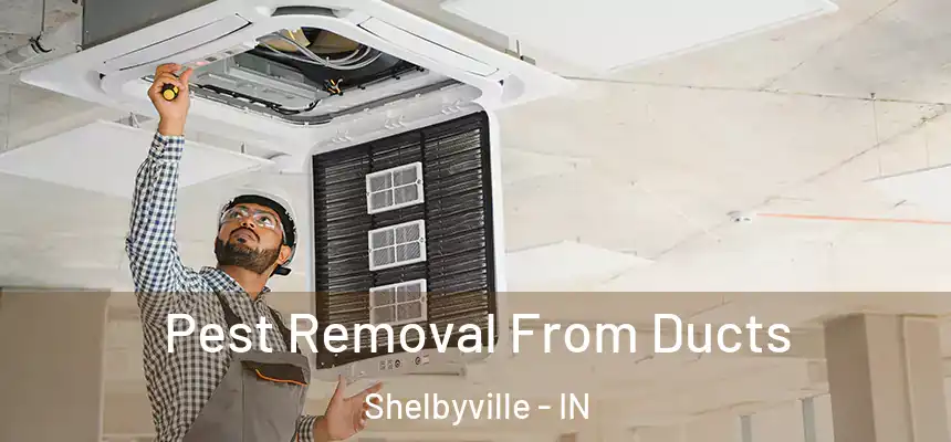 Pest Removal From Ducts Shelbyville - IN
