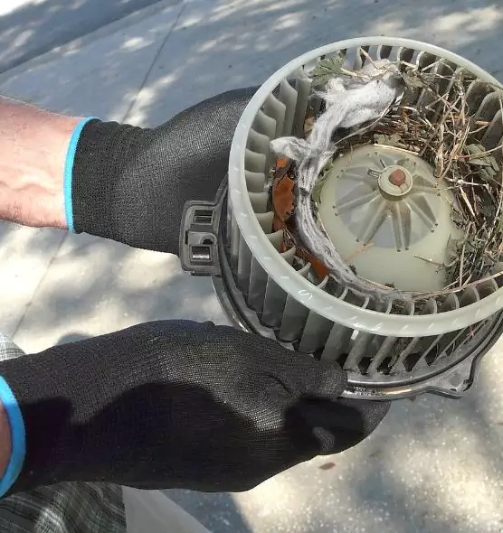 About Air Duct Rat Removal in Shelbyville, IN