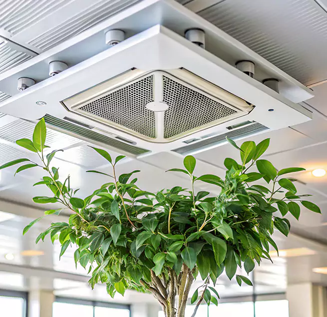 Why Homeowners & Businesses Trust Us in Shelbyville, IN?